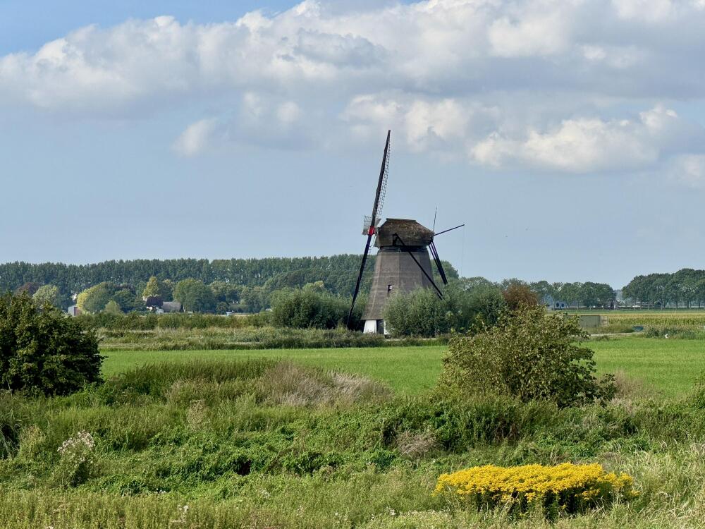 Foto 75 1000w