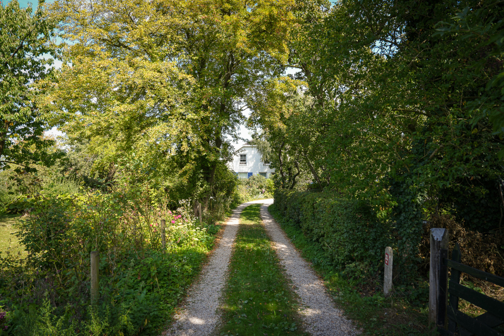 Foto 65 1000w