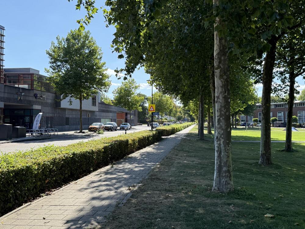 Foto 18 1000w