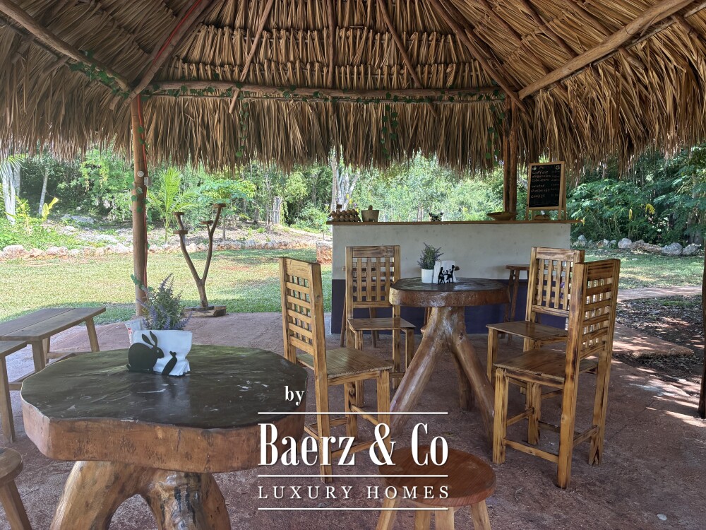 Foto 15 1000w
