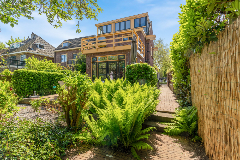Foto 21 1000w