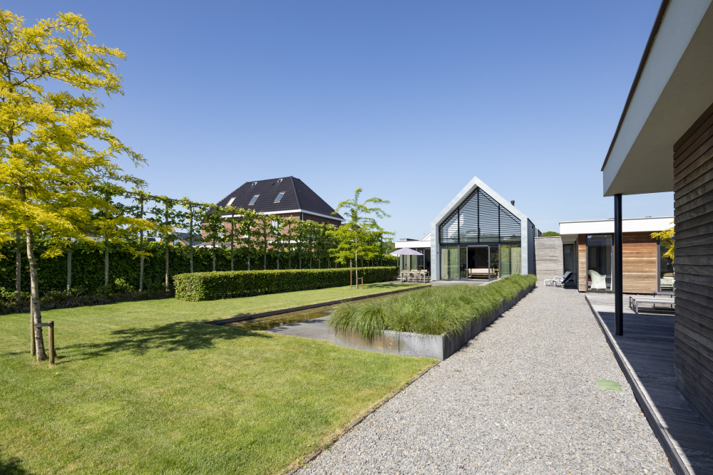 Foto 45 1000w