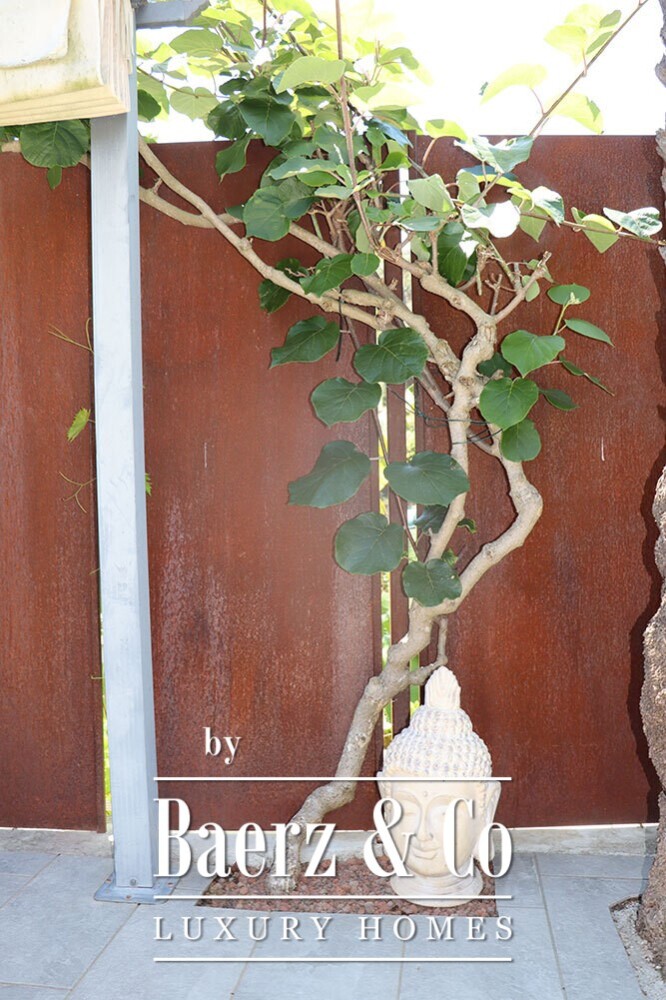 Foto 38 1000w