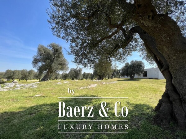 photo 26 Carovigno, Brindisi