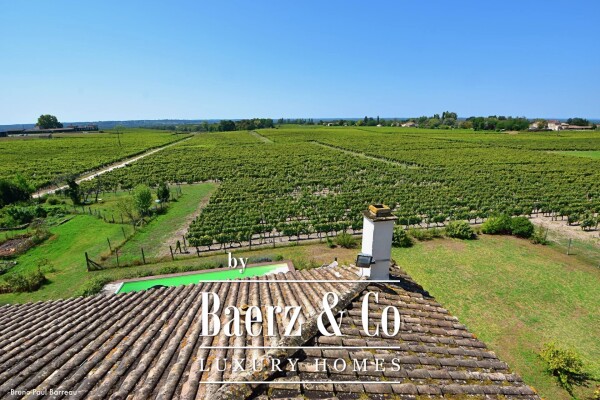 photo 5 WINE CHATEAU, BORDEAUX, SAUTERNES, UNIQUE PANORAMIC VIEW