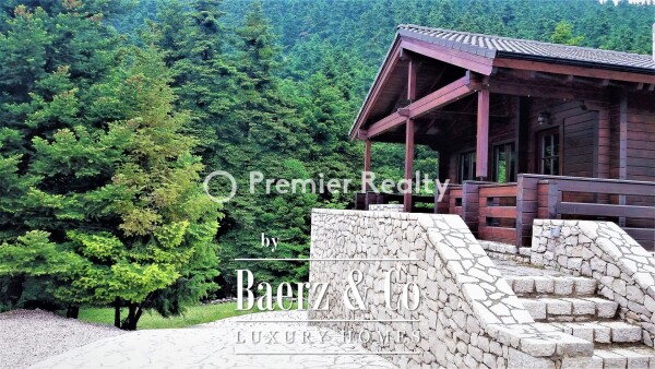 photo 25 950495 - Chalet | Eptalofos, Parnassos, 480 sq.m.