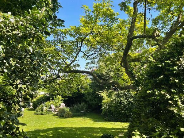 photo 59 Dorpsstraat 12