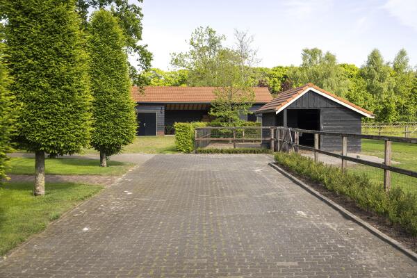 photo 61 Dennendijk 6
