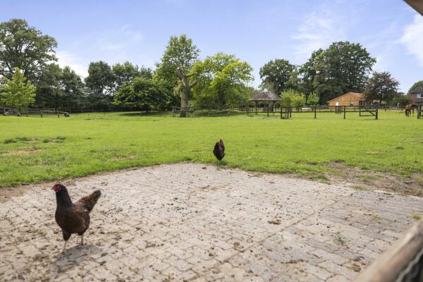 photo 85 Dennendijk 6