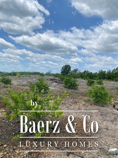 photo 19 Street 24 x 29 