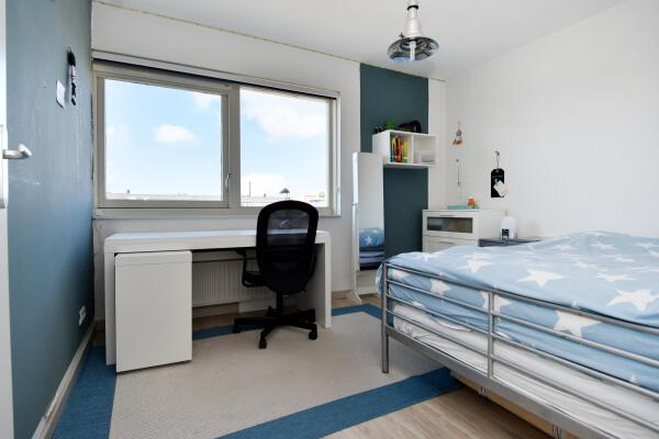 photo 56 Juttepeer 35