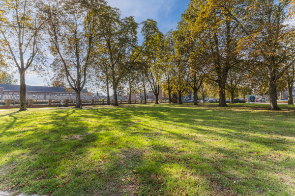 photo 43 Burgemeester Buskensstraat 14