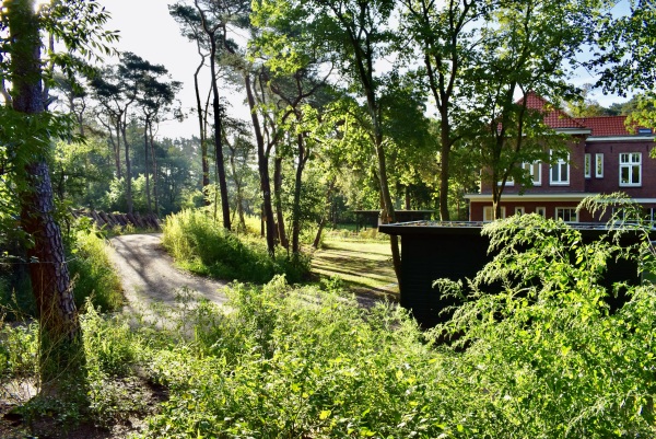 photo 3 Groenelaantje 35 g