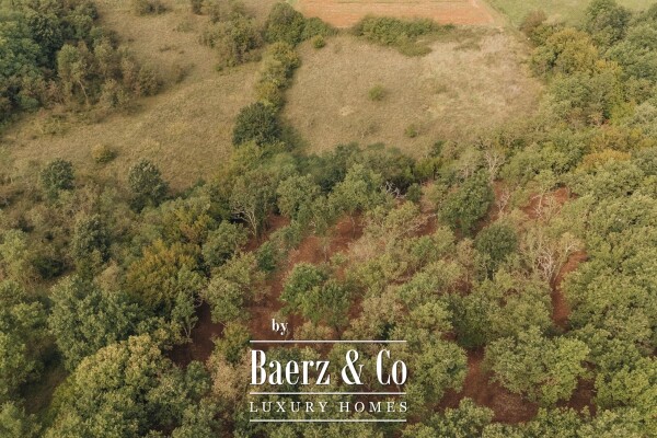 photo 8 Istria, Višnjan area - luxurious stone villa with heated pool and spacious property