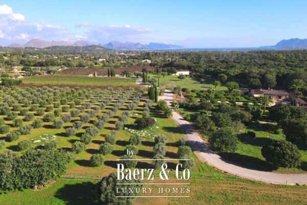 photo 12 Exclusive Wine Estate with Bodega, Olive Grove and 10 Hectares of Private Forest