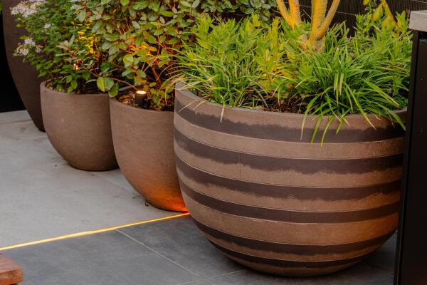 photo 45 Stadionweg 271 3