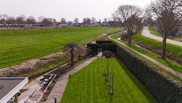 photo 60 Timotheegras 13