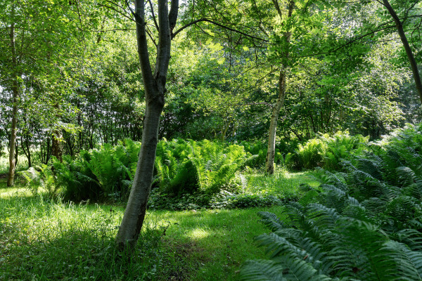 photo 43 Klijnsmavaart 8