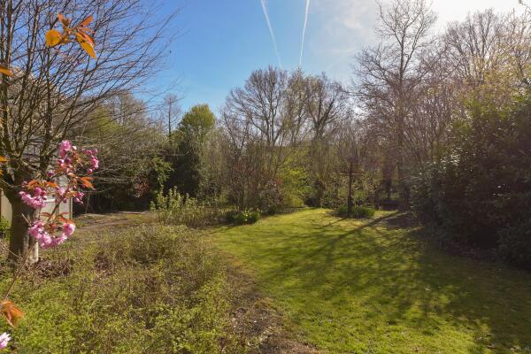 photo 36 Parel 4