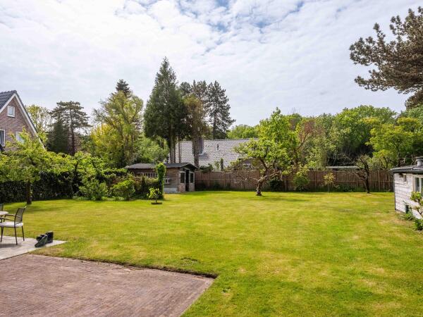 photo 40 Omloop 12