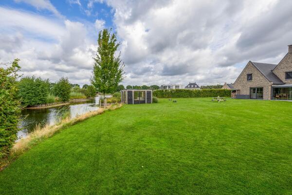photo 42 Kleijnvenke 2